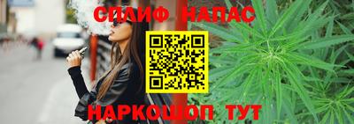 СК Новодвинск