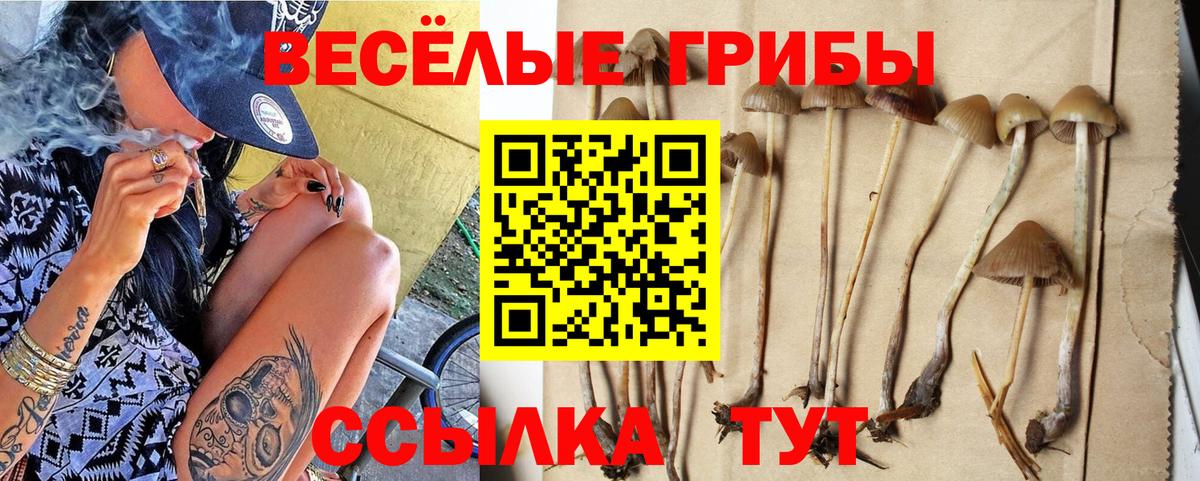 Галлюциногенные грибы мухоморы  Вход с VPN  где купить   Псилоцибиновые грибы MAGIC MUSHROOMS  Сланцы 