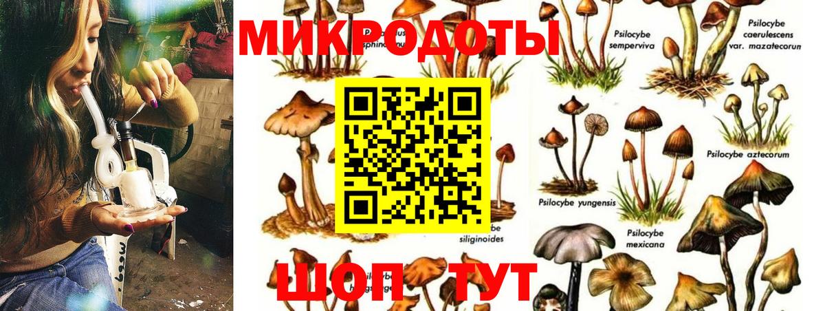 Галлюциногенные грибы Magic Shrooms Сланцы